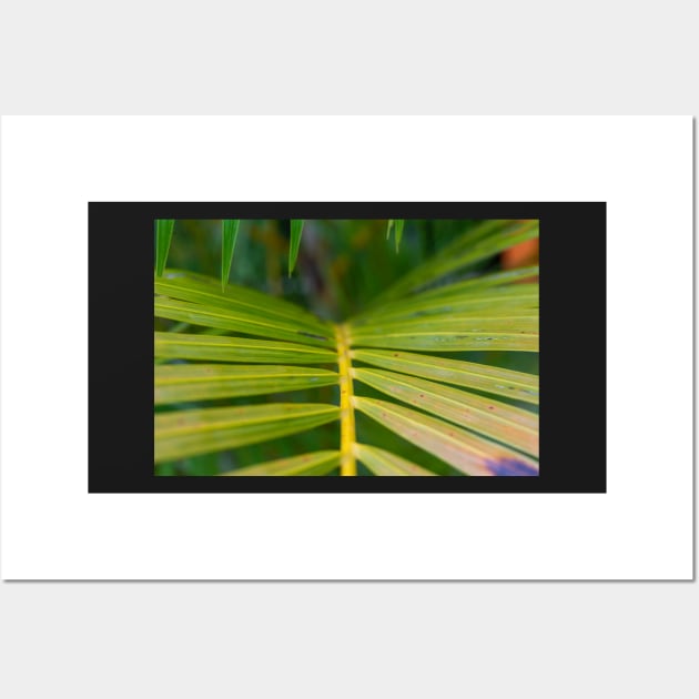 Tropical garden on cloudy day Wall Art by SCUBAddict